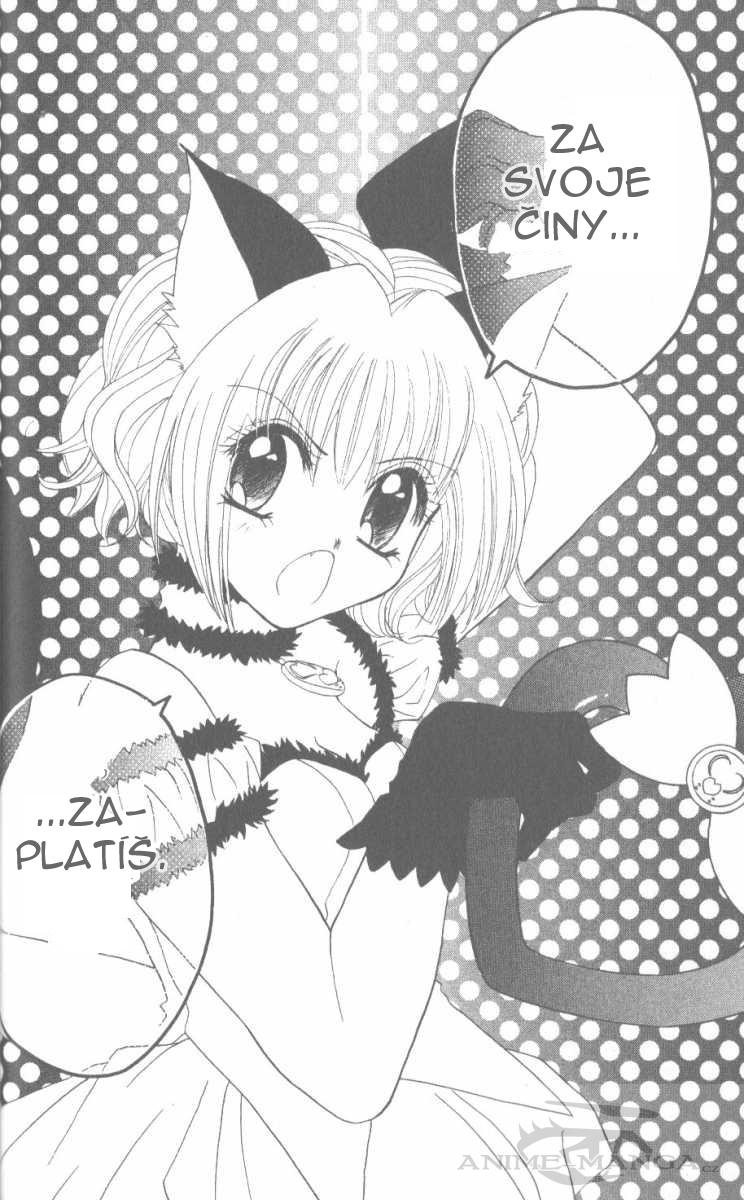 Tokyo Mew Mew 40.jpg